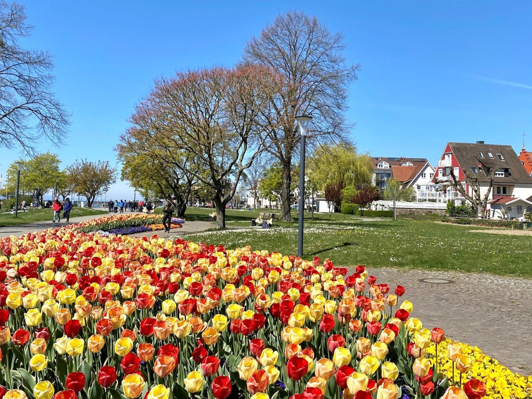 Ferienwohnung Strandgut Langenargen Exteriér fotografie